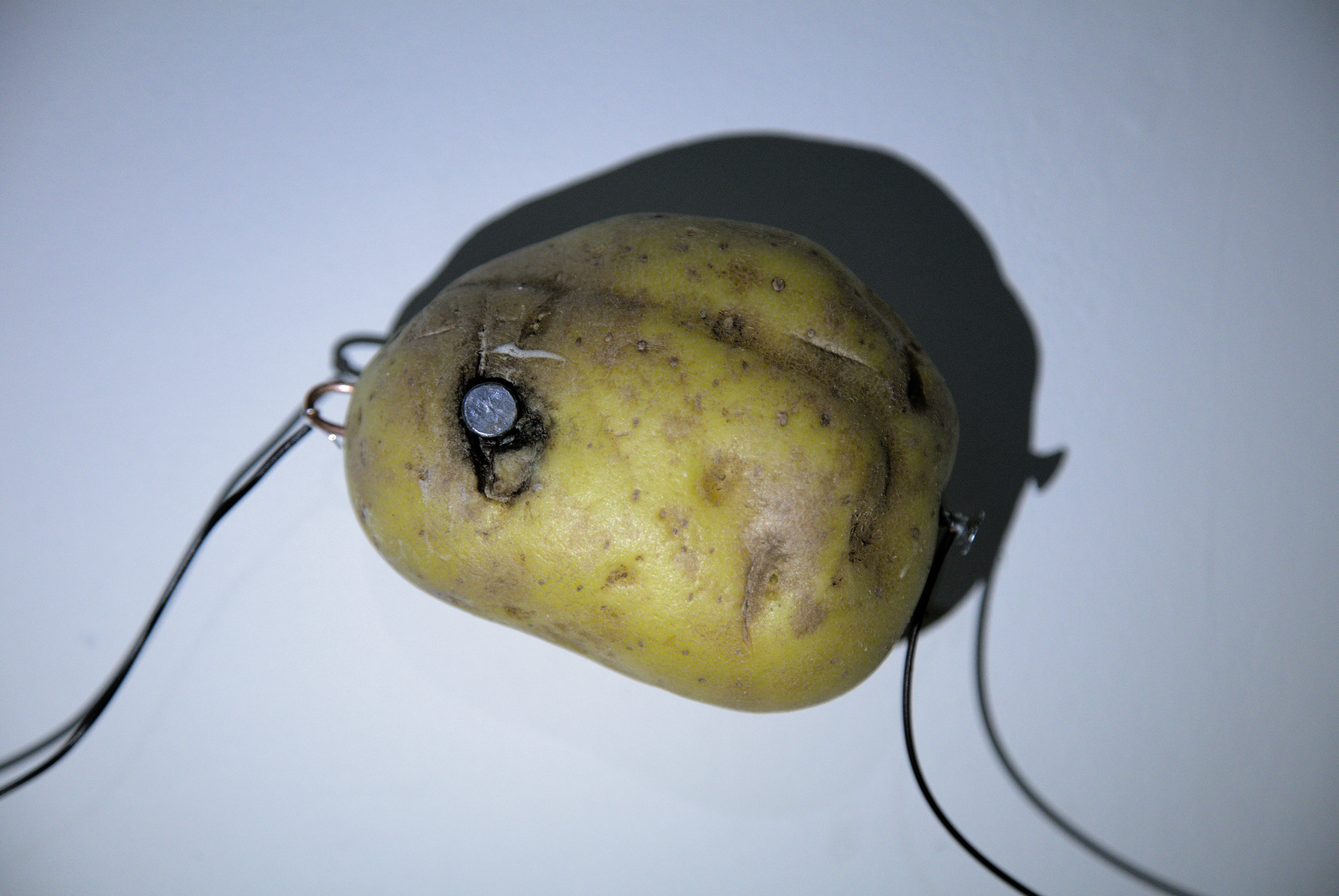 Generated diseased potato portrait late in the exhibition, i potato self-portrait (2026) by Nikos Antonio Kourous Vázquez