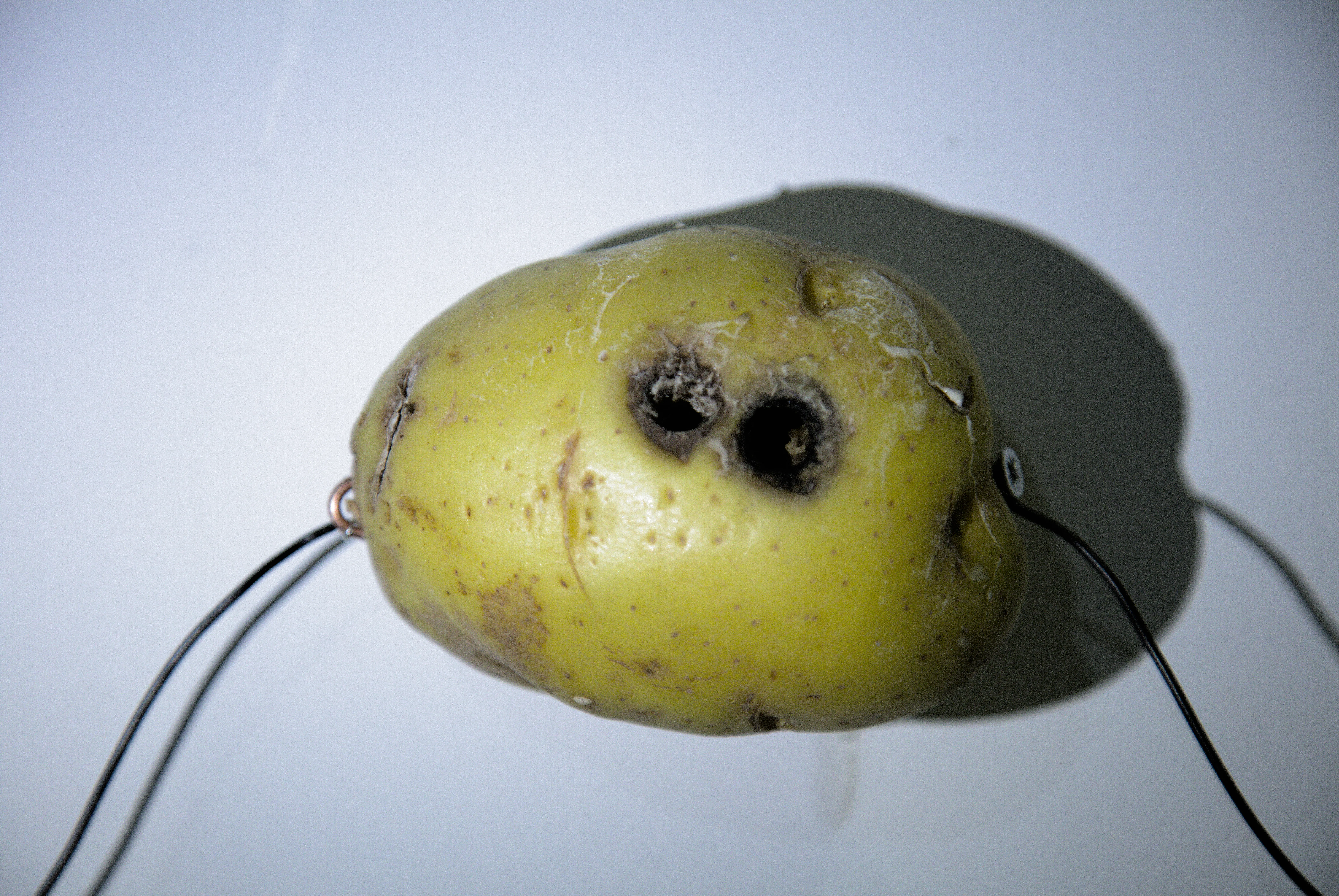 Generated potato portrait with black spots and discoloration, i potato self-portrait (2026) by Nikos Antonio Kourous Vázquez