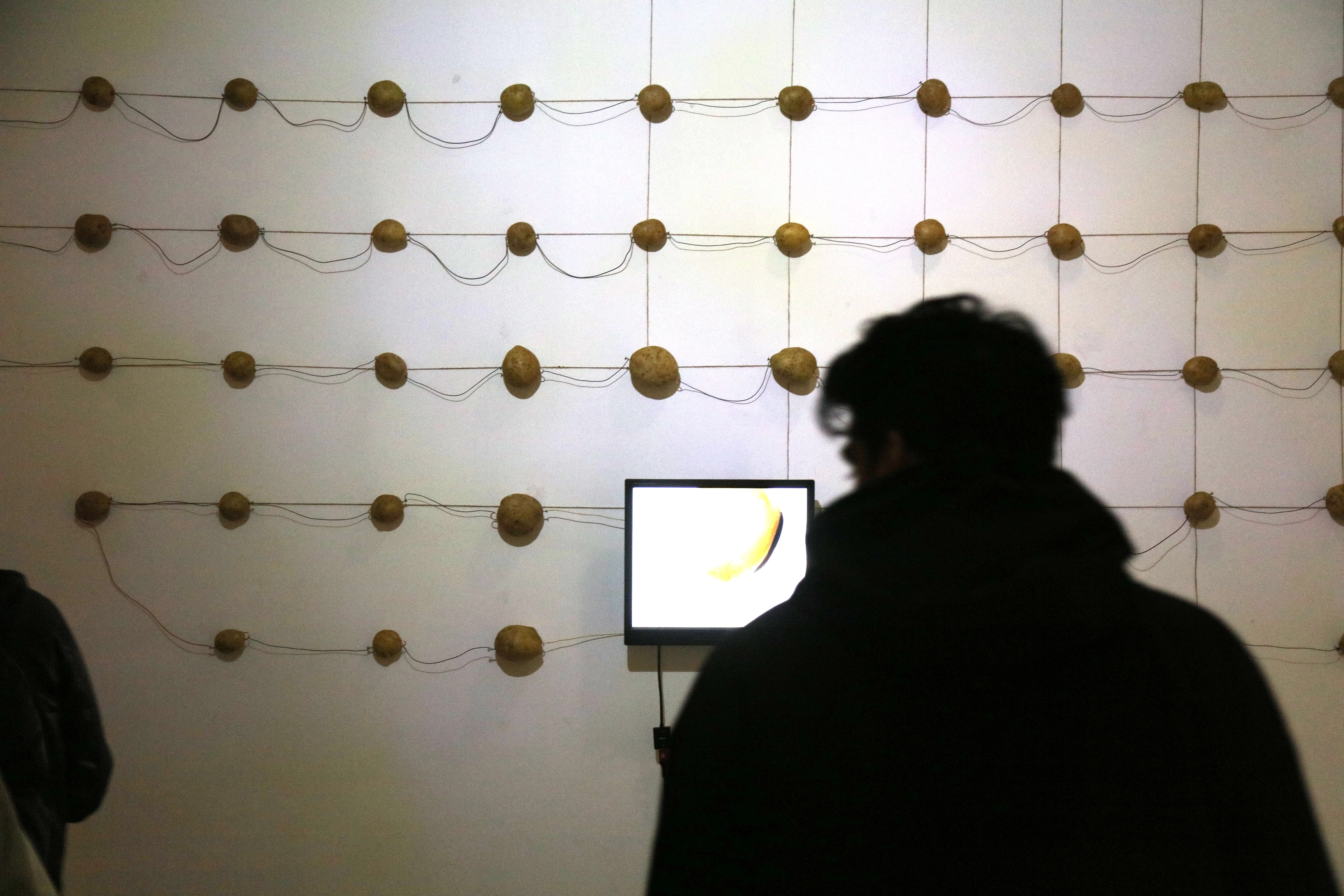 Installation view of i potato self-portrait (2026) by Nikos Antonio Kourous Vázquez