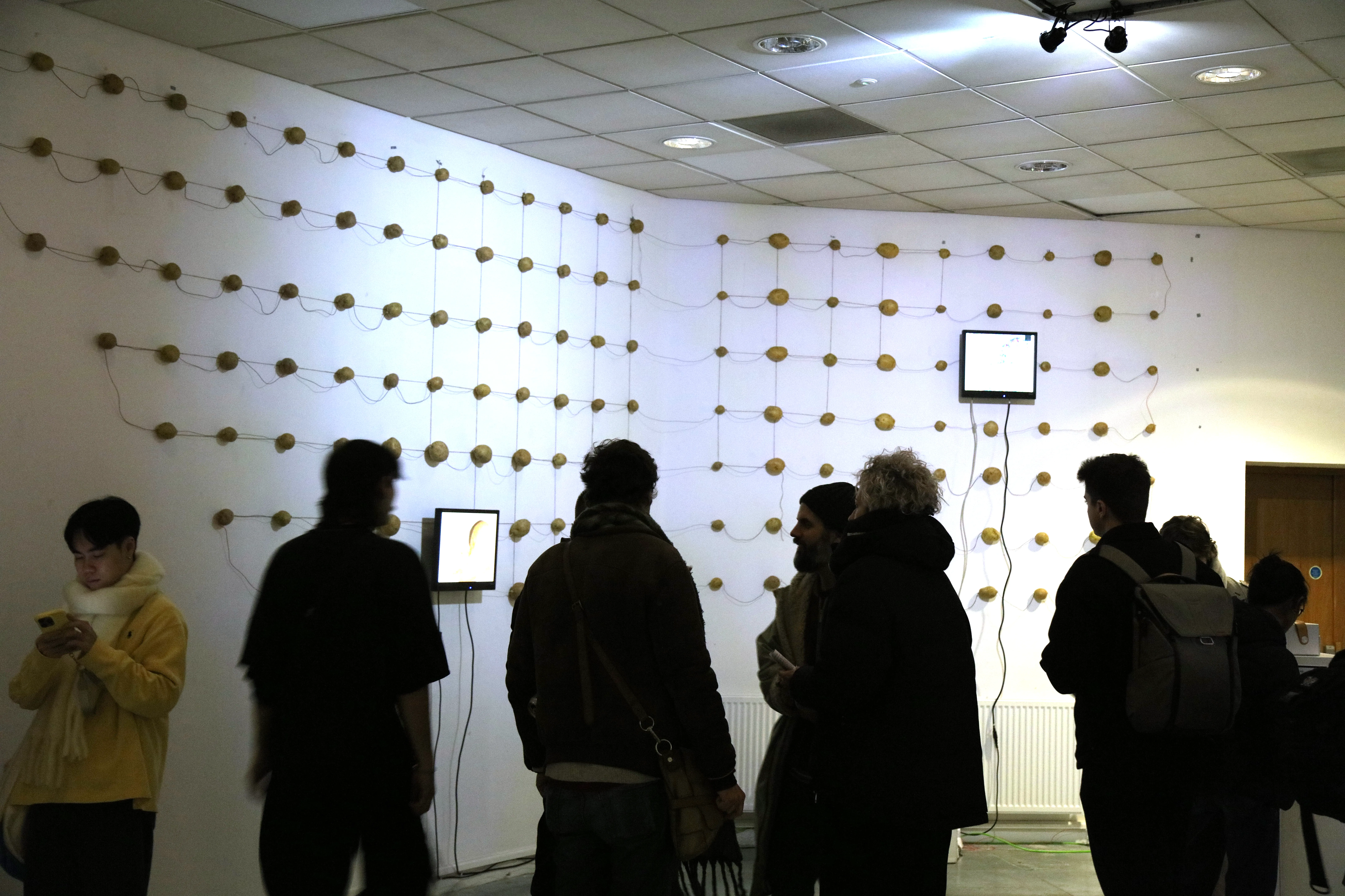 Detail view of the potato battery wiring, i potato self-portrait (2026) by Nikos Antonio Kourous Vázquez