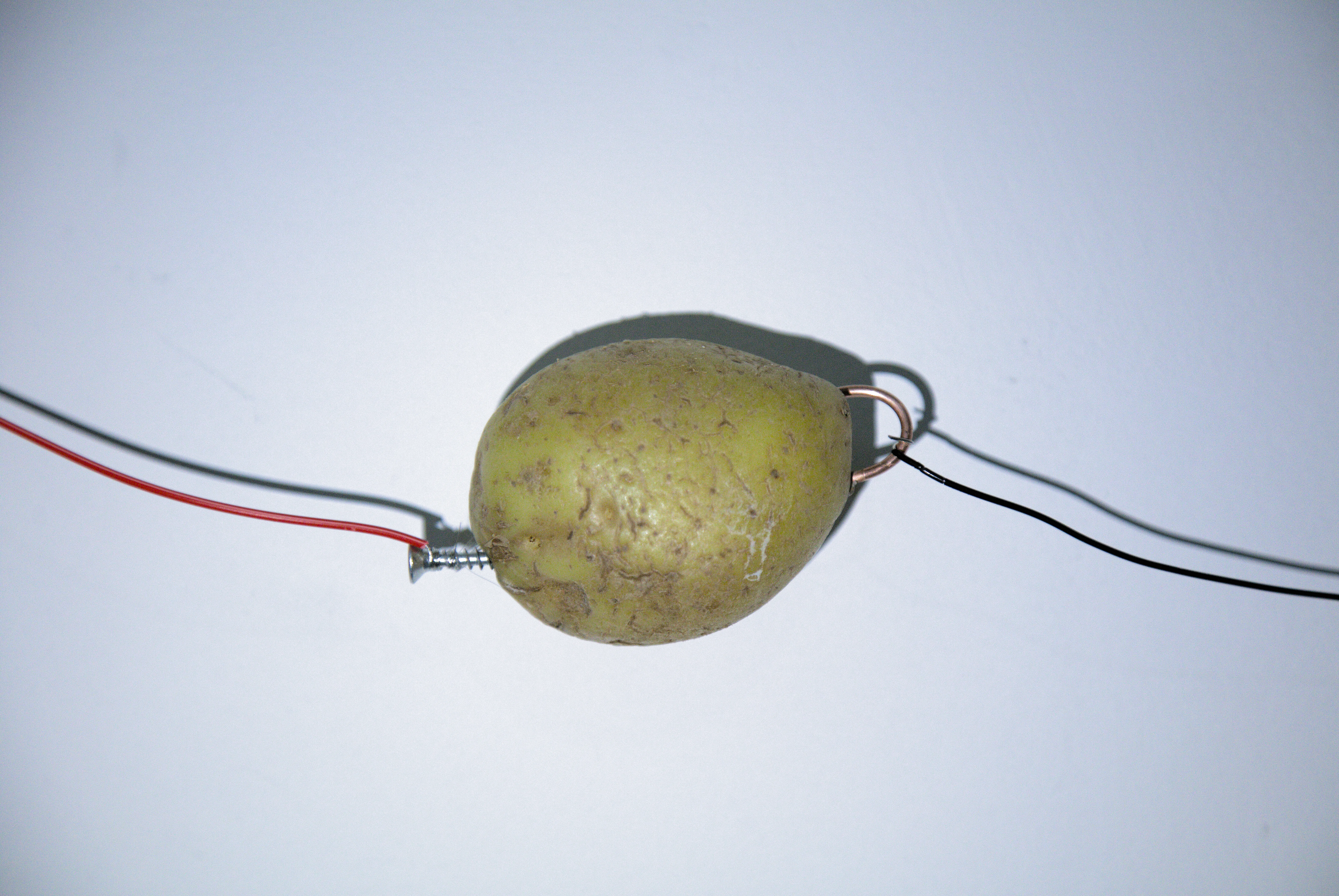 Generated potato portrait showing early signs of disease, i potato self-portrait (2026) by Nikos Antonio Kourous Vázquez